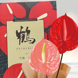 【台南成功】HAPPY GO 寵粉來店禮 【台南成功】HAPPY GO 寵粉來店禮