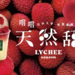 夏天與你來場最美荔的相遇❤