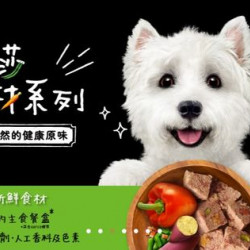 寵物樂園 西莎餐盒 超派三重奏-