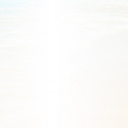 好運甜湯第二件88折 好運甜湯第二件88折