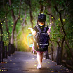 Regent Taipei 晶華酒店 ▌火金姑相伴的夜之饗宴｜