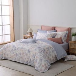 【嘉義】夢特嬌 週年慶寢具物語