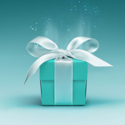 1F Tiffany & Co.獻上 2024 聖誕佳節獻禮 1F Tiffany & Co.獻上 2024 聖誕佳節獻禮