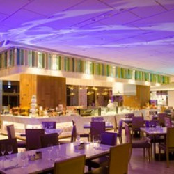 2025 Disco 敘日跨年派對