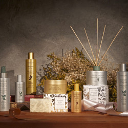 【新竹】蕾莉歐 小資價 耶誕限定禮盒