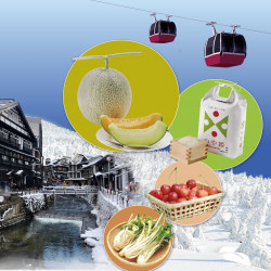 【台南成功】日本山形縣物產文化嘉年華