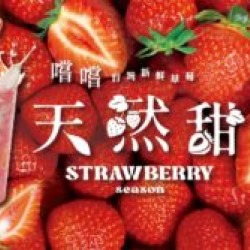 大苑子草莓季12月30日起開跑啦???