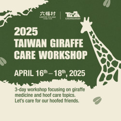 六福村 - 2025 Taiwan Giraffe Care Workshop