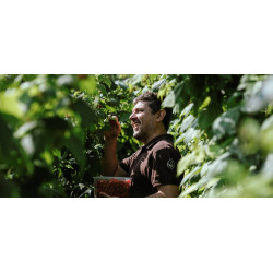 義饗・馬可波羅