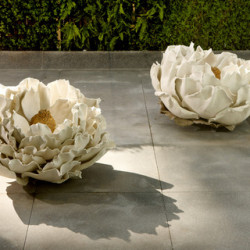 【艾麗春曉】住房專案 【艾麗春曉】住房專案