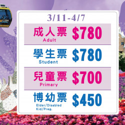 紫戀薰衣草特價 紫戀薰衣草特價