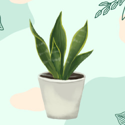 全台活動-【嘉義】療癒盆栽裝飾DIY