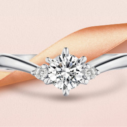 各店活動-【新竹】蘇菲亞 嶄新開幕