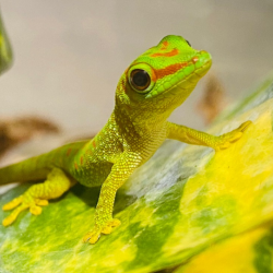 各店活動-【新竹】動物狂歡派對