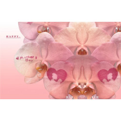 遠東百貨 - 【台南成功】世茂蘭花 母親節獻蘭禮