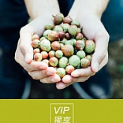 VIP報名｜來趟苦茶園尋油之旅