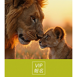 京站時尚廣場 - VIP報名｜非洲狂野之旅