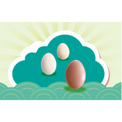 遠東百貨 - 【新竹】立好蛋 幸福開端 一起來參加