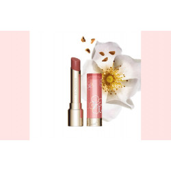 遠東百貨 - 【嘉義】克蘭詩 彈潤植萃固態美唇油