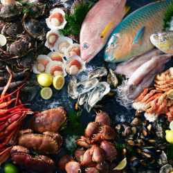 十二廚・海饗海鮮季