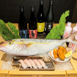 滿載新潟獨特魅力的日本清酒 限量發售