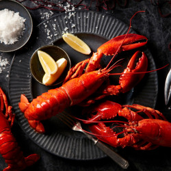 週一、三、五午晚餐限定 【超嗨!龍蝦日】 週一、三、五午晚餐限定 【超嗨!龍蝦日】