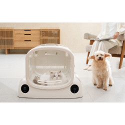 遠東百貨 - 【Top City】Jolly Pet新品上市