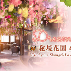 春季限定 夢幻酒吧 Dream Bar