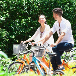 提早預訂優惠(21天)