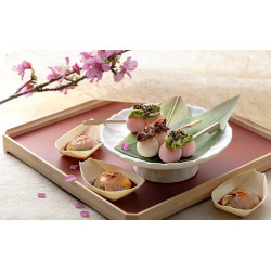 NAGOMI 春之逸品〈春日。花見頃〉3/15 季節限定登場！