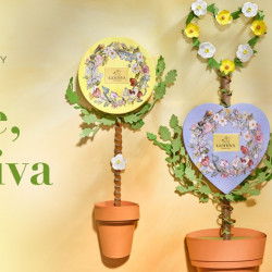 以花為語,戀戀盛夏 GODIVA 2025 夏之戀限定巧克力綻放戀愛滋味 以花為語,戀戀盛夏 GODIVA 2025 夏之戀限定巧克力綻放戀愛滋味