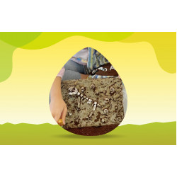 遠東百貨 - 【新竹】小小考古學家