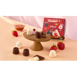 其它 酷聖石全新打造！「Mini一口冰」療癒登場