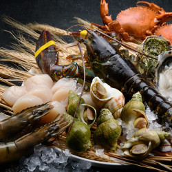 漢神百貨 - 中信漢神百貨聯名卡專屬！漢來島語高雄盛典，最高10%回饋暖心登場