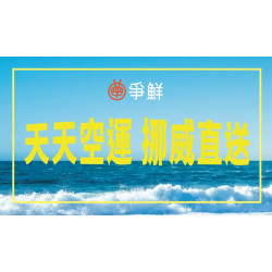 【爭鮮迴轉壽司|爭鮮PLUS】天天空運、挪威直送，鮭魚新品登場