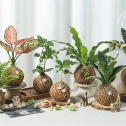 遠東百貨 - 【Top City】Fées BEAUTÉ植栽療癒活動