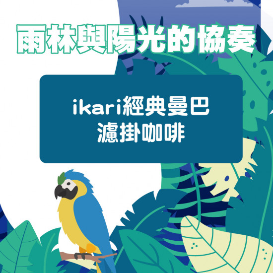 雨林與陽光的協奏