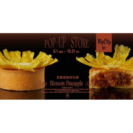 【HOHOS】POP - UP STORE