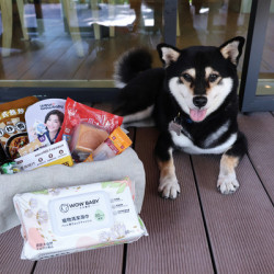 戶外毛孩席｜同享大餐趣