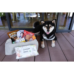 戶外毛孩席｜同享大餐趣