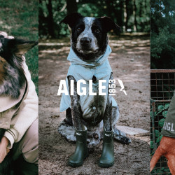遠東百貨 - 【Top City】AIGLE 首次推出寵物風衣