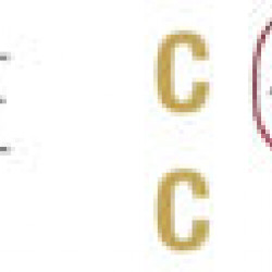 農曆新年圍爐宴