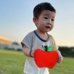 遠東百貨 - 【新竹】蘋果寶寶搬搬樂