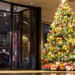 聖誕限定精選禮遇