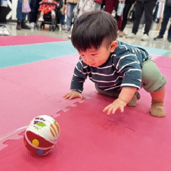 【板橋中山】KITTY寶寶爬爬/搬搬樂 (造型主題：Hello Kitty)