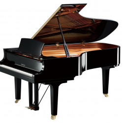 頂級音色X琴藝精華 : 大廳現場演奏