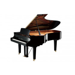 頂級音色X琴藝精華 : 大廳現場演奏