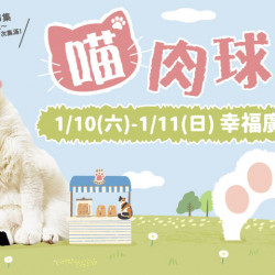 夢時代購物中心最新優惠 - 喵肉球派對幸福大集結！