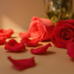 台北艾麗精選活動 - 【艾你莫屬】西洋情人節住房專案