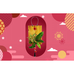 遠東百貨 - 【嘉義】新春開運綠植上板